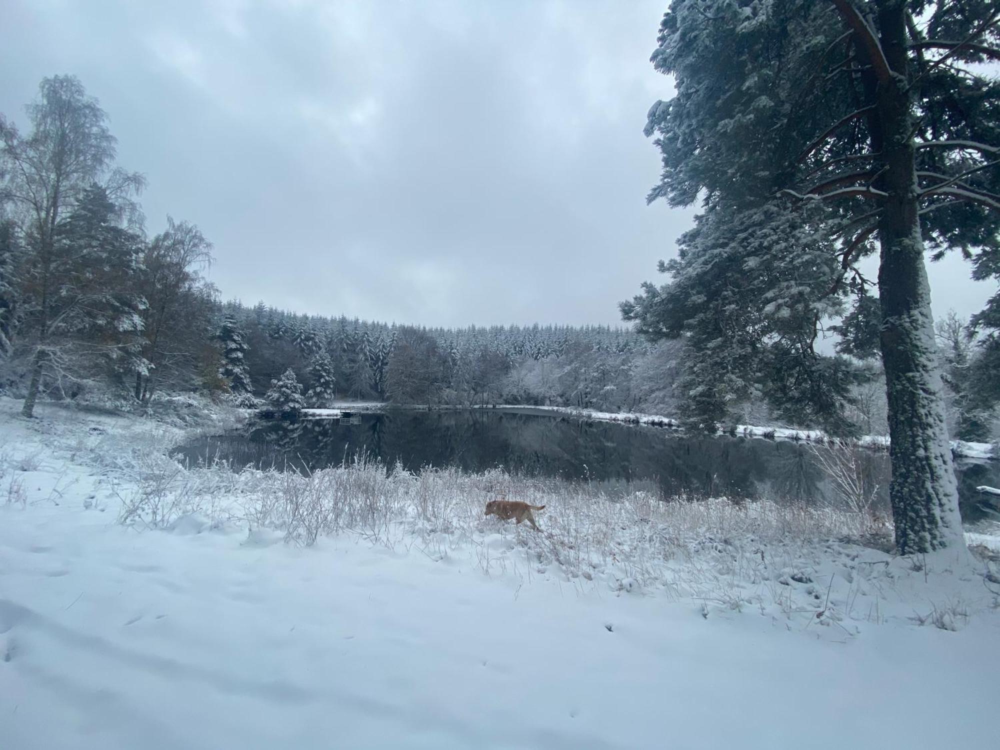 Morvan La Pastourelle Quarré-les-Tombes Eksteriør bilde