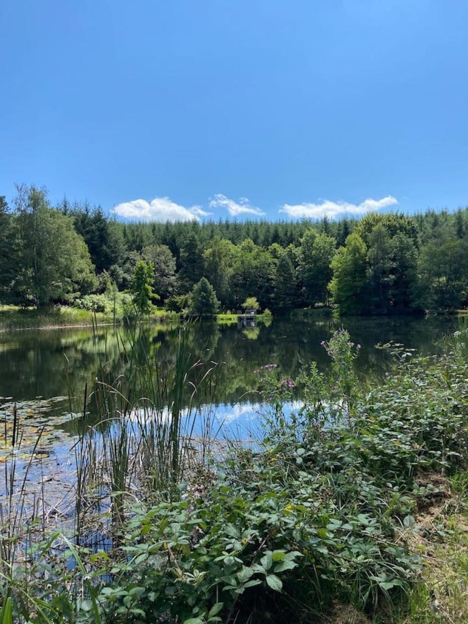 Morvan La Pastourelle Quarré-les-Tombes Eksteriør bilde